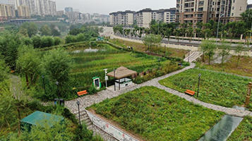 北碚區梁灘河內源整治及清淤工程